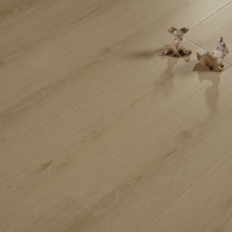 أرضيات خشبية من خشب البلوط بسمك 12 ملم